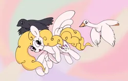 Size: 2942x1858 | Tagged: safe, artist:violavaquita, ponerpics import, bird, crow, pegasus, pony, swan, g1, female, flying, image, mare, open mouth, png, spread wings, surprise (g1), wings