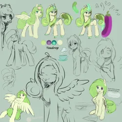Size: 2000x2000 | Tagged: safe, artist:aterhut, oc, oc:teadrop, unofficial characters only, kirin, pegasus, pony, cookie, eyes closed, female, food, gray background, hoof hold, image, knife, looking at you, mare, mouth hold, offscreen character, petting, png, quadrupedal, reference sheet, signature, simple background, sitting, solo, spread wings, wings