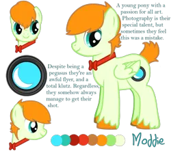 Size: 500x441 | Tagged: safe, oc, oc:moddie, unofficial characters only, pegasus, pony, pony creator, bowtie, colt, faggot, image, looking sideways, male, png, reference sheet, short tail, simple background, transparent background, unshorn fetlocks, vulgar, young