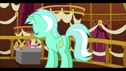 Size: 1920x1080 | Tagged: safe, artist:jargon scott, derpibooru import, editor:pashkek, screencap, lyra heartstrings, horse, pony, unicorn, blue background, box, butt, close-up, cutie mark, extreme close up, eyes closed, female, g4, hoers, image, mare, meme, plot, ponified animal photo, simple background, solo, town hall, webm, whiskers
