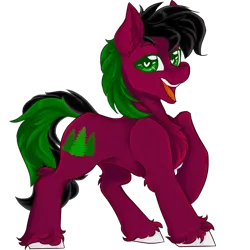 Size: 2001x2000 | Tagged: safe, artist:dankpegasista, derpibooru import, oc, oc:red cedar, earth pony, pony, derpibooru community collaboration, 2024 community collab, bangs, big eyes, big smile, black mane, chest fluff, colored lineart, ear fluff, eyebrows, full body, fully shaded, green eyes, green mane, heart, heart eyes, high res, highlights, image, krita, long tail, looking at you, male, open mouth, png, posing for photo, raised hoof, raised leg, red coat, shiny mane, simple background, smiling, smiling at you, solo, stallion, sternocleidomastoid, tail, teeth, three quarter view, transparent background, unshorn fetlocks, wingding eyes