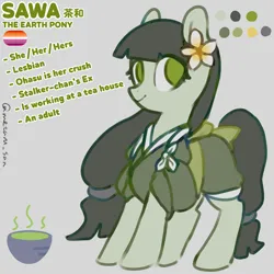 Size: 4096x4096 | Tagged: safe, artist:metaruscarlet, derpibooru import, oc, earth pony, pony, clothes, earth pony oc, english, flower, gray background, image, japanese, kimono (clothing), lesbian pride flag, moon runes, png, pride, pride flag, reference sheet, simple background