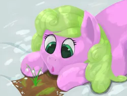 Size: 1697x1284 | Tagged: safe, artist:frilanka, derpibooru import, daisy, flower wishes, earth pony, pony, dappled sunlight, flower, image, lying down, open mouth, png, prone, snow, solo, surprised, winter