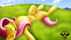 Size: 7680x4320 | Tagged: safe, artist:tsaritsaluna, derpibooru import, fluttershy, pegasus, pony, absurd file size, absurd resolution, belly, colored, concave belly, day, eyebrows, eyelashes, eyes closed, female, folded wings, grass, grass field, image, lying down, mare, on back, outdoors, png, shading, sky, smiling, solo, wings