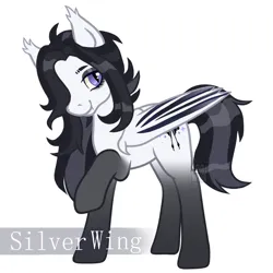 Size: 2000x2000 | Tagged: safe, derpibooru import, oc, bat, bat pony, pegasus, pony, bat pony oc, bat wings, commission, image, jpeg, request, wings