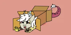 Size: 1906x946 | Tagged: safe, artist:dzamie, derpibooru import, discord, draconequus, box, cardboard box, colored, cute, discute, eris, female, flat colors, image, png, rule 63, simple background, sliding ponies, smiling, solo, solo female