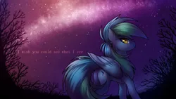 Size: 1920x1080 | Tagged: safe, artist:magicstarfriends, derpibooru import, oc, oc:seafoam wake, unofficial characters only, pegasus, pony, undead, vampire, vampony, female, fisheye lens, image, looking at you, looking back, night, night sky, pegasus oc, png, sky, solo, text, wings