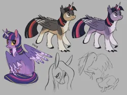 Size: 2048x1536 | Tagged: safe, artist:flightless-fox, derpibooru import, fluttershy, twilight sparkle, twilight sparkle (alicorn), alicorn, bird, eagle, pegasus, pony, rabbit, alternate design, animal, chest fluff, claws, clothes, colored horn, ear fluff, female, folded wings, gray background, horn, image, looking back, mare, partially open wings, png, raised hoof, simple background, sitting, sketch, socks, striped wings, twitterina design, wings