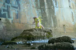 Size: 4928x3264 | Tagged: safe, artist:onlyfactory, derpibooru import, photographer:misterdogg, fluttershy, bat pony, australia, bat ponified, bootleg, creek, flutterbat, image, irl, jpeg, lithgow, photo, plushie, race swap, rock, water