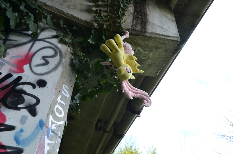 Size: 4928x3264 | Tagged: safe, artist:onlyfactory, derpibooru import, photographer:misterdogg, fluttershy, bat pony, australia, bat ponified, bootleg, bridge, flutterbat, graffiti, hanging, hanging upside down, image, irl, jpeg, lithgow, photo, plushie, race swap, upside down