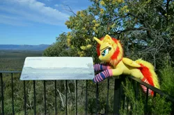 Size: 4928x3264 | Tagged: safe, artist:ponimalion, derpibooru import, photographer:misterdogg, sunset shimmer, alicorn, pony, alicornified, australia, capertee, capertee valley, clothes, ear fluff, fence, image, irl, jpeg, photo, plushie, race swap, sign, socks, striped socks, tail, tail fluff