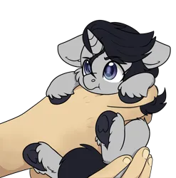 Size: 2197x2223 | Tagged: safe, artist:rokosmith26, derpibooru import, oc, oc:neil davidson, unofficial characters only, alicorn, pony, alicorn oc, blue eyes, cheek fluff, commission, cute, ear fluff, floppy ears, grumpy, hand, holding, holding a pony, hooves, horn, image, light skin, looking up, male, png, simple background, size difference, smol, solo, stallion, tail, tiny, tiny ponies, transparent background, wings, ych result