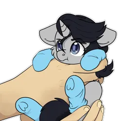 Size: 2197x2223 | Tagged: safe, artist:rokosmith26, derpibooru import, oc, oc:neil davidson, unofficial characters only, alicorn, pony, alicorn oc, blue eyes, cheek fluff, clothes, commission, cute, ear fluff, floppy ears, grumpy, hand, holding, holding a pony, hooves, horn, image, light skin, looking up, male, png, simple background, size difference, smol, socks, solo, stallion, tail, tiny, tiny ponies, transparent background, wings, ych result