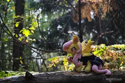 Size: 1097x728 | Tagged: safe, artist:mgrdash, derpibooru import, fluttershy, bat pony, pony, bat ponified, flutterbat, forest, image, irl, nature, photo, plushie, png, ponies in real life, race swap, tree