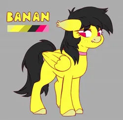 Size: 1497x1461 | Tagged: safe, artist:cheekipone, ponerpics import, oc, oc:banan, unofficial characters only, pegasus, pony, choker, cloven hooves, ear tufts, fangs, female, folded wings, image, jpeg, looking back, mare, pegasus oc, reference sheet, simple background, solo, standing, text, wings