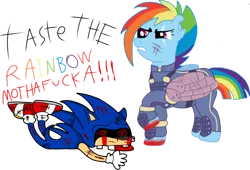 Size: 800x544 | Tagged: semi-grimdark, artist:mariokids, derpibooru import, rainbow dash, hedgehog, pegasus, pony, blood, death, female, future rainbow dash, g4, image, male, murder, png, simple background, sonic the hedgehog, sonic the hedgehog (series), sonic.exe, taste the rainbow, transparent background, vulgar