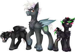 Size: 2856x1971 | Tagged: safe, artist:chvrchgrim, derpibooru import, oc, oc:cardinal, oc:krypt, oc:sooty snow, pegasus, annoyed, blaze (coat marking), chest fluff, coat markings, colored wings, dappled, ear piercing, emo, facial markings, father and child, father and son, height difference, image, kids, male, multicolored hair, pegasus oc, piercing, png, raised hoof, sad, smiling, socks (coat marking), two toned wings, unshorn fetlocks, wings