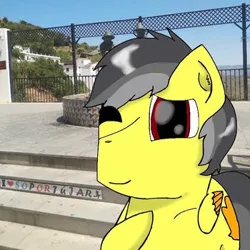 Size: 350x350 | Tagged: safe, artist:foxfer64_yt, derpibooru import, oc, oc:thunder (fl), unofficial characters only, pegasus, pony, city, cute, image, jpeg, one eye closed, photo, solo, wink