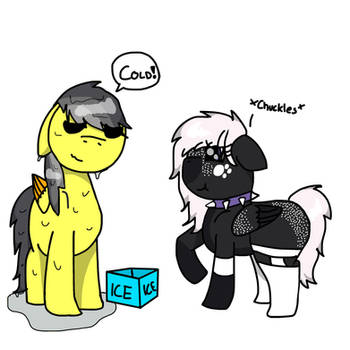 Size: 350x350 | Tagged: safe, artist:foxfer64_yt, derpibooru import, oc, oc:onyxstar (fl), oc:thunder (fl), unofficial characters only, pegasus, pony, bucket, chuckle, duo, eyes closed, female, floppy ears, ice bucket challenge, image, jpeg, male, mare, oc x oc, redraw, shipping, stallion, water