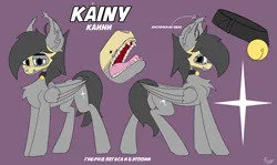 Size: 6707x4000 | Tagged: safe, artist:kainy, derpibooru import, oc, oc:kainy, pony, bell, bell collar, chest fluff, collar, fangs, image, looking at you, open mouth, png, reference sheet, skull, solo