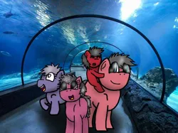 Size: 615x461 | Tagged: safe, artist:foxfer64_yt, derpibooru import, oc, oc:steven, earth pony, pony, amazed, aquarium, colt, family, female, filly, foal, happy, image, jpeg, kids, male, photo, riding