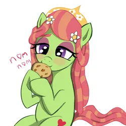 Size: 1000x1000 | Tagged: safe, artist:tenklop, derpibooru import, tree hugger, earth pony, pony, friendship is magic, cookie, dreadlocks, food, g4, image, png, simple background, solo