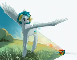 Size: 3200x2500 | Tagged: safe, artist:sivelu, derpibooru import, oc, unofficial characters only, pegasus, pony, image, jpeg, rubik's cube, scenery, spread wings, wings