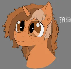 Size: 548x535 | Tagged: safe, artist:meadow dweller, derpibooru import, oc, oc:sign, unofficial characters only, unicorn, bust, freckles, image, png, smiling, solo