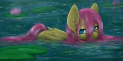 Size: 5000x2508 | Tagged: safe, artist:evlass, derpibooru import, fluttershy, pegasus, pony, colored pupils, cute, ear fluff, female, flower, folded wings, g4, high res, image, lilypad, mare, outdoors, partially submerged, png, shyabetes, solo, water, wet, wet mane, wings