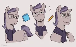 Size: 4132x2562 | Tagged: safe, artist:daisy_marshmallow, derpibooru import, unnamed character, unnamed pony, earth pony, pony, g5, my little pony: tell your tale, clothes, confused, equestria's got talent, glasses, image, male, pencil, png, scarf, solo, stallion, teary eyes, unamused