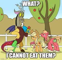 Size: 509x499 | Tagged: safe, artist:jbwarner86, derpibooru import, edit, apple bloom, applejack, big macintosh, discord, draconequus, earth pony, pony, apple, apple siblings, apple sisters, brother and sister, caption, eating, female, filly, foal, food, image, image macro, jpeg, male, mare, siblings, sisters, stallion, text