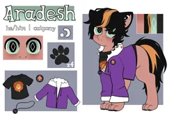 Size: 3000x2000 | Tagged: safe, artist:etoz, derpibooru import, oc, oc:aradesh, unofficial characters only, big cat, cat, cat pony, dinosaur, lion, original species, pony, badge, beans, cat ears, clothed ponies, clothes, ear piercing, earring, emotionless, food, hood, hoodie, image, jewelry, male, paws, pendant, piercing, png, reference sheet, shirt, solo, stallion, t-shirt, text, two toned hair