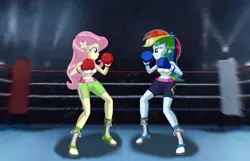 Size: 3465x2232 | Tagged: suggestive, artist:ponymaan, derpibooru import, fluttershy, rainbow dash, equestria girls, boxing, boxing gloves, duo, image, png, shadow, sports