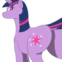 Size: 1000x1000 | Tagged: safe, artist:saint boniface, derpibooru import, twilight sparkle, pony, unicorn, butt, dock, image, jpeg, plot, simple background, solo, tail, twibutt, unicorn twilight, white background