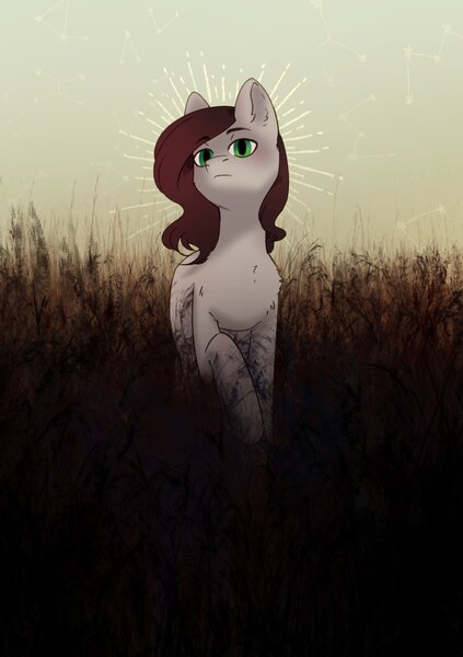 Size: 2039x2894 | Tagged: safe, artist:glumarkoj, derpibooru import, oc, unofficial characters only, grass, green eyes, halo, image, jpeg, stars, tall grass