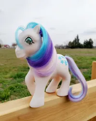 Size: 1280x1612 | Tagged: safe, derpibooru import, gingerbread, earth pony, pony, twinkle eyed pony, beautiful, brushable, female, g1, image, irl, jpeg, mare, merchandise, photo, ponies in real life, solo, toy
