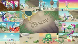 Size: 1280x721 | Tagged: safe, derpibooru import, editor:quoterific, applejack, fluttershy, rainbow dash, rarity, crab, tortoise, turtle, aww... baby turtles, equestria girls, equestria girls series, beach, clothes, cute, image, jpeg, rock, sunset, swimsuit, wetsuit