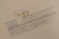 Size: 2969x1985 | Tagged: safe, anonymous artist, gilda, gryphon, asses only, beak, dumpster, dumpster diving, image, jpeg, looking at you, open beak, open mouth, ponified animal photo, simple background, solo, surprised, traditional art