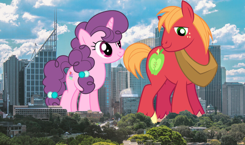 Size: 2700x1600 | Tagged: safe, artist:dashiesparkle, artist:djdavid98 edits, artist:theotterpony, derpibooru import, edit, big macintosh, sugar belle, earth pony, pony, unicorn, australia, female, giant pony, giantess, high res, highrise ponies, image, irl, jpeg, macro, male, mare, photo, ponies in real life, really big mac, shipping, stallion, story included, straight, sugarmac, sydney