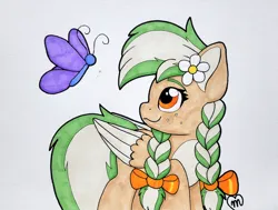 Size: 3688x2786 | Tagged: safe, artist:msaniiart, derpibooru import, oc, oc:sylvia evergreen, unofficial characters only, butterfly, insect, pegasus, pony, braid, braided pigtails, female, flower, flower in hair, freckles, hair tie, image, jpeg, mare, pegasus oc, pigtails, smiling, solo, traditional art, wings