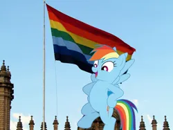 Size: 1600x1200 | Tagged: safe, artist:dashiesparkle, derpibooru import, rainbow dash, pony, cusco, flag, flag of cusco, image, irl, jpeg, not pride flag, peru, photo, ponies in real life