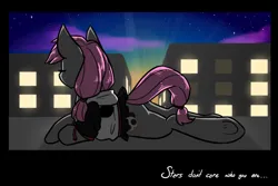 Size: 1280x853 | Tagged: safe, artist:sinclair2013, derpibooru import, oc, unofficial characters only, earth pony, pony, butt, city, eyes closed, image, night, plot, png, solo