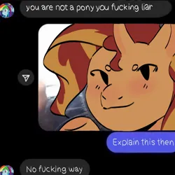 Size: 1280x1280 | Tagged: safe, artist:cardigansandcats, derpibooru import, sunset shimmer, pony, unicorn, equestria girls, blushing, close-up, image, jpeg, meme, ponified animal photo, ponified meme, smiling, solo, text