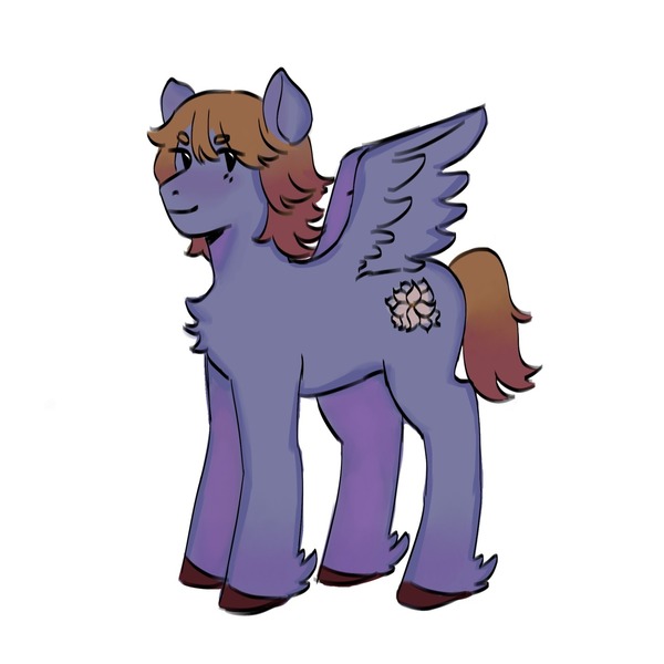 Size: 1280x1280 | Tagged: safe, artist:cardigansandcats, derpibooru import, pegasus, pony, chest fluff, image, jpeg, simple background, smiling, solo, standing, white background