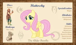 Size: 10100x6000 | Tagged: safe, artist:ponygamer2020, derpibooru import, fluttershy, pegasus, pony, bio, cute, female, image, jpeg, looking at you, mare, morrowind, oblivion, reference sheet, shyabetes, skyrim, smiling, smiling at you, solo, the elder scrolls, the elder scrolls: equestria, vector