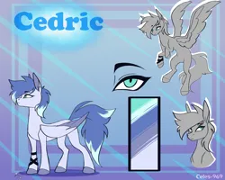 Size: 2500x2000 | Tagged: safe, artist:celes-969, derpibooru import, oc, unofficial characters only, pegasus, pony, image, pegasus oc, png, reference sheet, solo, wings