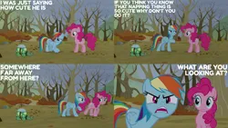 Size: 2000x1125 | Tagged: safe, derpibooru import, edit, edited screencap, editor:quoterific, screencap, pinkie pie, rainbow dash, tank, earth pony, pegasus, pony, tortoise, tanks for the memories, angry, concerned, duo focus, eyes closed, female, frown, hoof on chest, image, male, mare, open mouth, png, propeller, rainbow dash is best facemaker, rainbow dash is not amused, raised hoof, trio, trotting, unamused, walking, worried