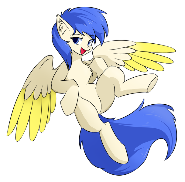 Size: 2740x2700 | Tagged: safe, artist:crystal eve, derpibooru import, oc, oc:yun fluttershy, unofficial characters only, pegasus, pony, belly, chest fluff, featureless crotch, female, image, mare, pegasus oc, png, wings