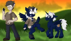 Size: 2069x1200 | Tagged: safe, artist:detectivecoon, derpibooru import, oc, alicorn, human, pony, human to pony, image, male, png, transformation, transformation sequence