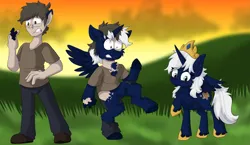 Size: 2069x1200 | Tagged: safe, artist:detectivecoon, derpibooru import, oc, alicorn, human, pony, female, human to pony, image, male, mare, png, transformation, transformation sequence, transgender transformation